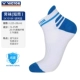 [Мужской стиль — короткий ствол] SK1018/F Polly Blue