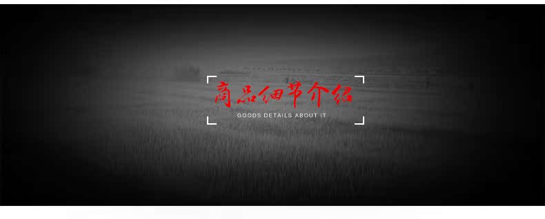 Selle de vélo Mountain Bike PROMEND - Ref 2348808 Image 15