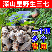 Deep Mountain pure wild 37 250g Chinese herbal medicine Powder Official Flagship Store Wenshan Special Class Field Seven Pieces 37