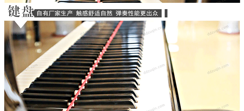 Đinh Đinh Qinqin Bắc Kinh Thượng Hải Thiên Tân Hàng Châu Cho thuê đàn piano mới Yamaha Grand Piano GB1K - dương cầm piano dien