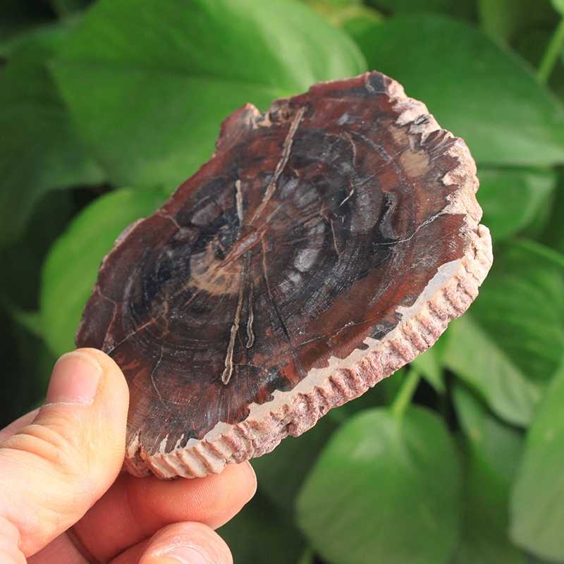 ★清 古樹化玉彫 金玉良縁擺件★極細工 置物 擺件 古賞物 中国古美術　 Fiber Glass Fly Rods Victoer R Johnson グラスロッド