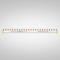 Schneider Germany pure imported 2p 24 bit bus A9XPH224 100A high current
