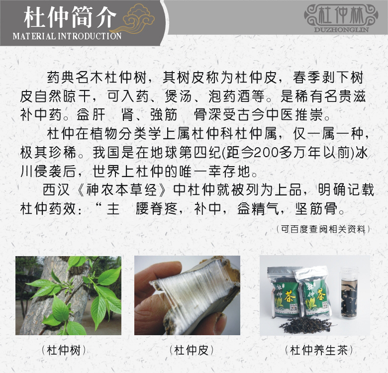 Eucommia gỗ thắt lưng gối gối thắt lưng gối khó chịu gối gỗ rắn gửi cho bố mẹ bạn bè sức khỏe eo - Gối gối trúc điều hòa