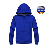 Сокровище синие 【плиты】