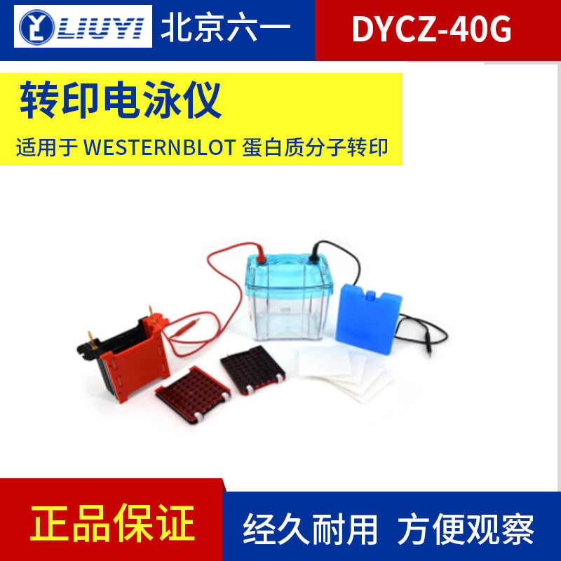 北京六一DYCZ-40G/DYCZ-40K转印电泳仪包邮实验室电泳槽