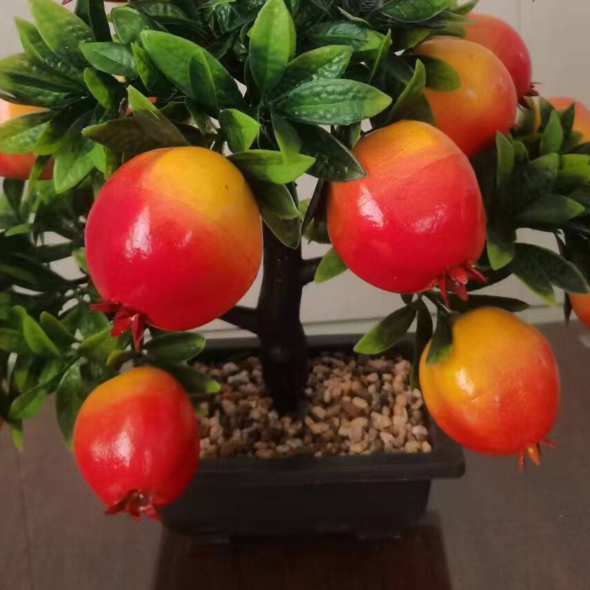 丽轩花坊
