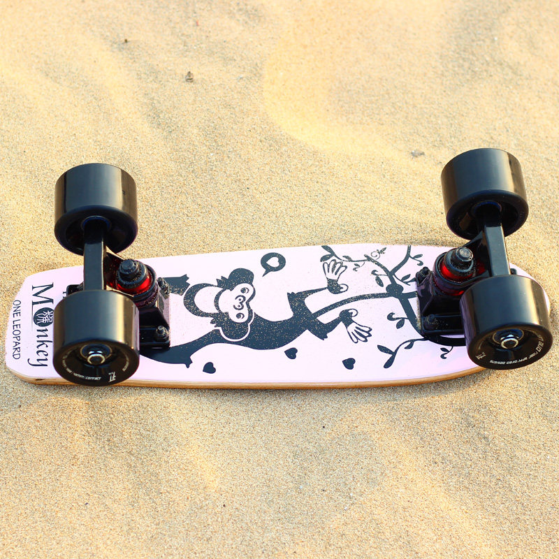 Skateboard pour homme femme enfant - Ref 2595582 Image 22