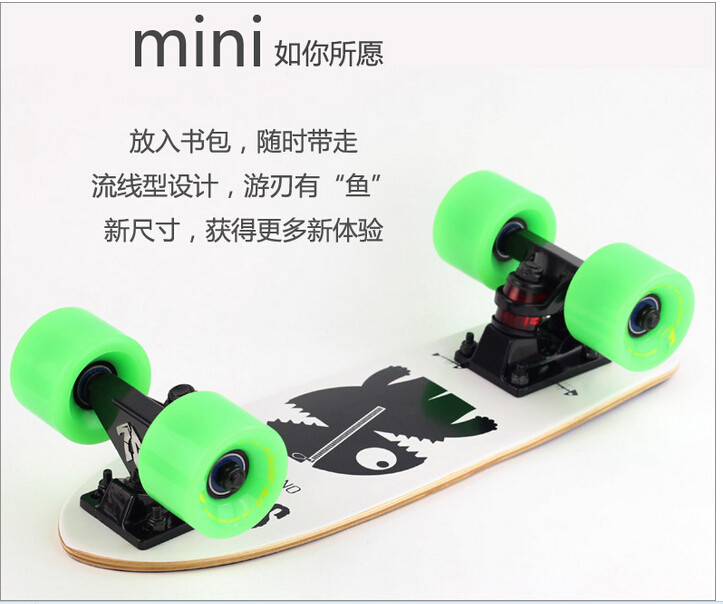 Skateboard pour homme femme enfant - Ref 2595582 Image 11