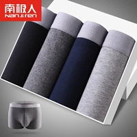 Nam Cực đồ lót nam cotton boxer thanh niên nam thu đông quần sịp gợi cảm 