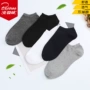 Vớ nhung bắc cực vớ nam mùa hè nam vớ thuyền vớ cotton mỏng 9.9 包邮 thấp để giúp nông miệng vớ vô hình vớ off white