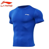 Персидский синий шорт-рука