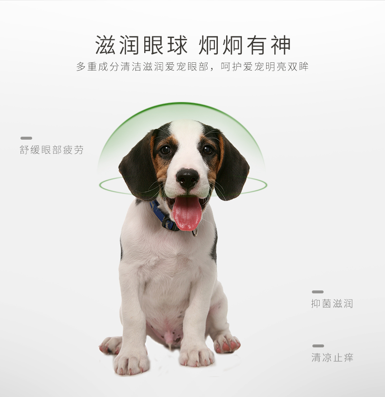 Thuốc nhỏ mắt Dog rửa mắt kháng khuẩn làm sạch nước mắt đến mí mắt Teddy cung cấp vật nuôi không nhỏ mắt - Thuốc nhỏ mắt thuốc nhỏ mắt refresh