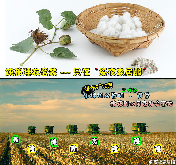 Pyjama pour femme OTHER   en Polyester Polyester  à manches - Ref 2999742 Image 10