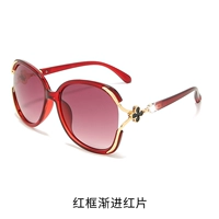 Красная коробка постепенно ближе к пленке [Поляризатор обновления]