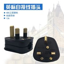English standard Insign plug wiring Insign power plug with 13A fuse UK Hong Kong Singapore plug