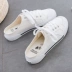 2019 mới Baotou một nửa dép nữ giày vải nhỏ màu trắng không có gót một bàn đạp lười giày dép thoáng khí hoang dã - Plimsolls giầy cao gót nữ Plimsolls