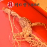 Пекин Тонгрентанг Гинзенцент 11G подарочная коробка северо -восток женьшень специальные продукты Моль Горна Гинзэн свежее вино