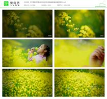 Children happy field rape flower field girl blowing bubble bee honey collection honey HD video material