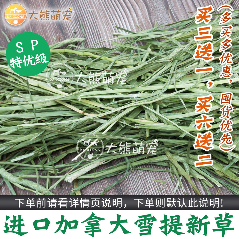 (Buy three and send one) Gati doubled down SP level Canada Snowty Morsi grass section rabbit dragon cat guinea pig grass