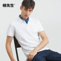 Áo sơ mi nam cotton lưới nam cổ chéo áo sơ mi POLO trẻ trung màu áo liền thân áo sơ mi polo