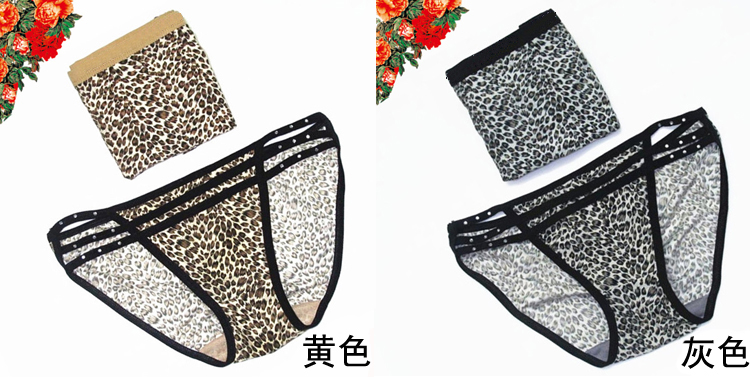 2 tải cám dỗ đôi báo đồ lót quần lót phụ nữ quần lót thoáng khí nam boxer modal cotton thấp eo gợi cảm quan lot nu