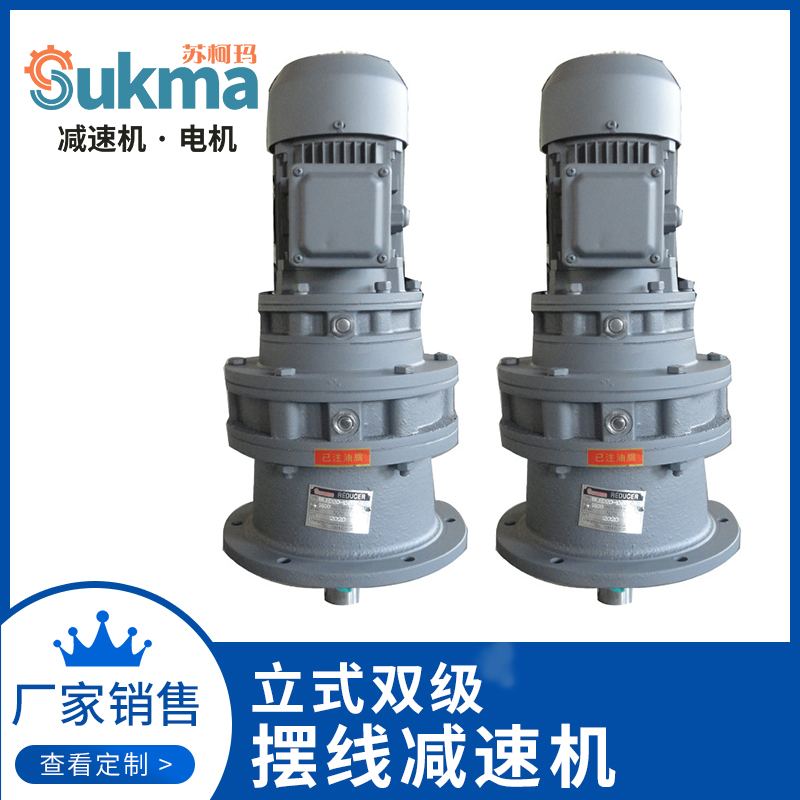 Vertical two-stage cycloid reducer BLED XLED BLEY XLEY with motor support custom manufacturer sales