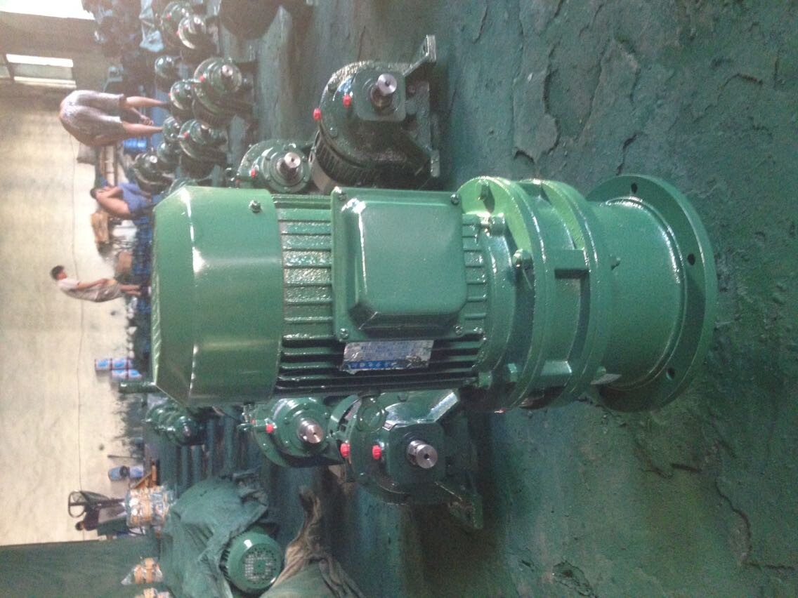 Vertical cycloid pin wheel reducer BLD3 XLD5-35 43-2 2KW 3KW 4KW 5 5KW 7 5KW