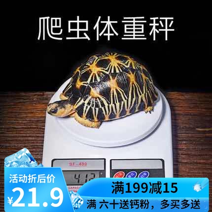 Pet mini weight electronic scale Dog cat hedgehog Small pet Tortoise weight monitoring Pet scale Pet scale