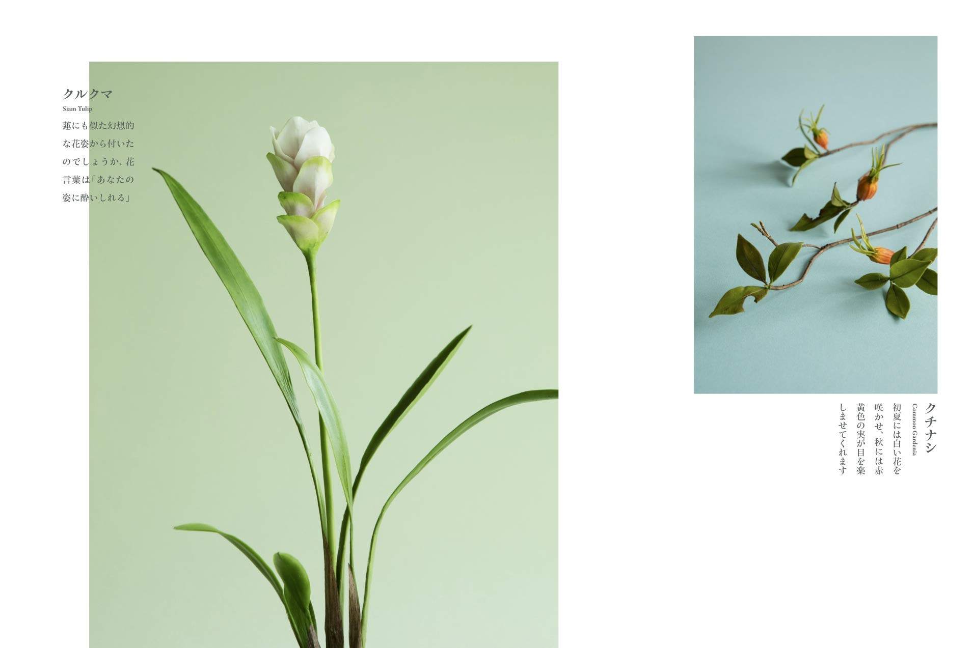 现货牛岛老师日本手工制作树脂粘土书はじめての粘土ア牛嶋君子