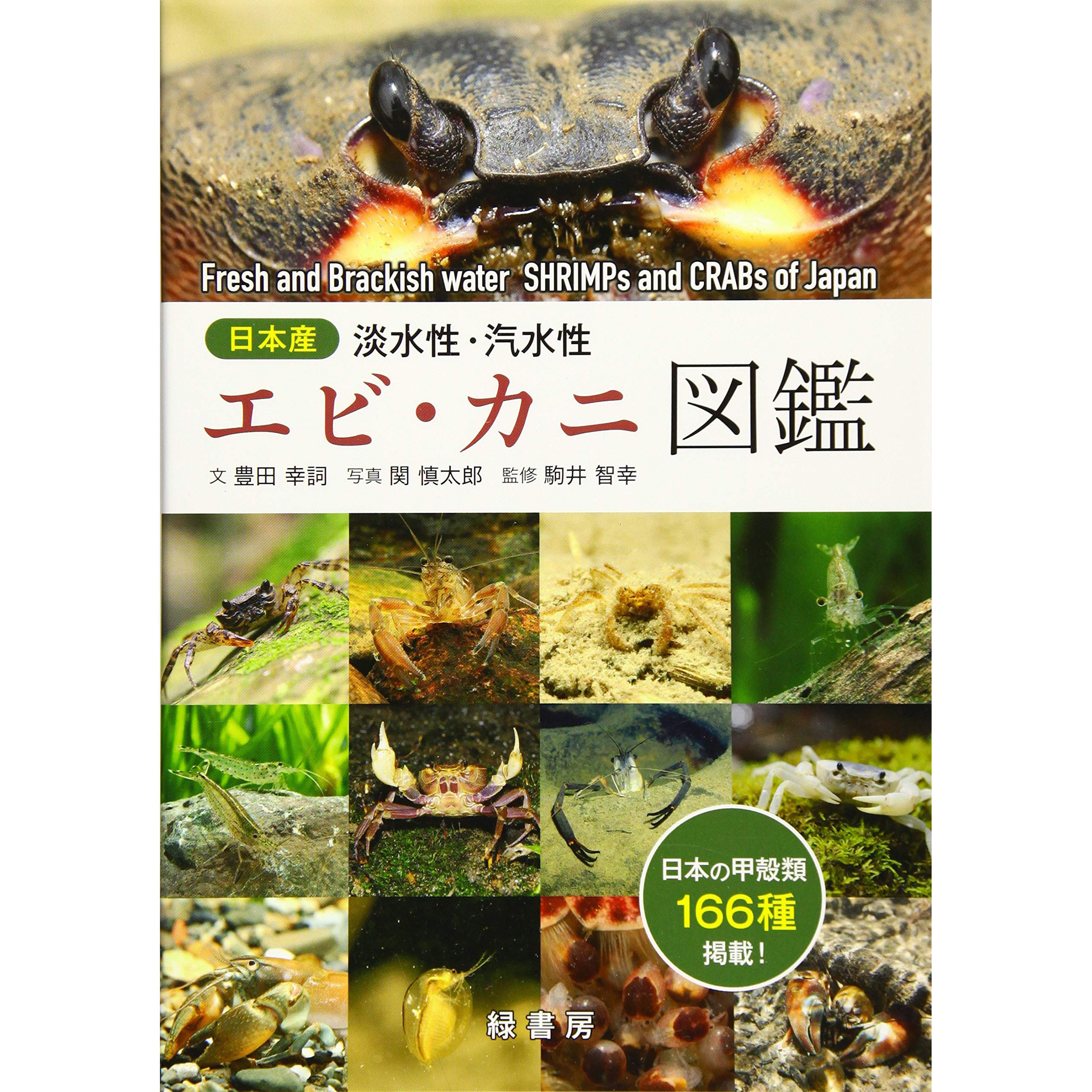 日本産淡水性汽水性エビカニ図鑑166種蝦蟹貝類動物圖鑑-淘寶Taobao