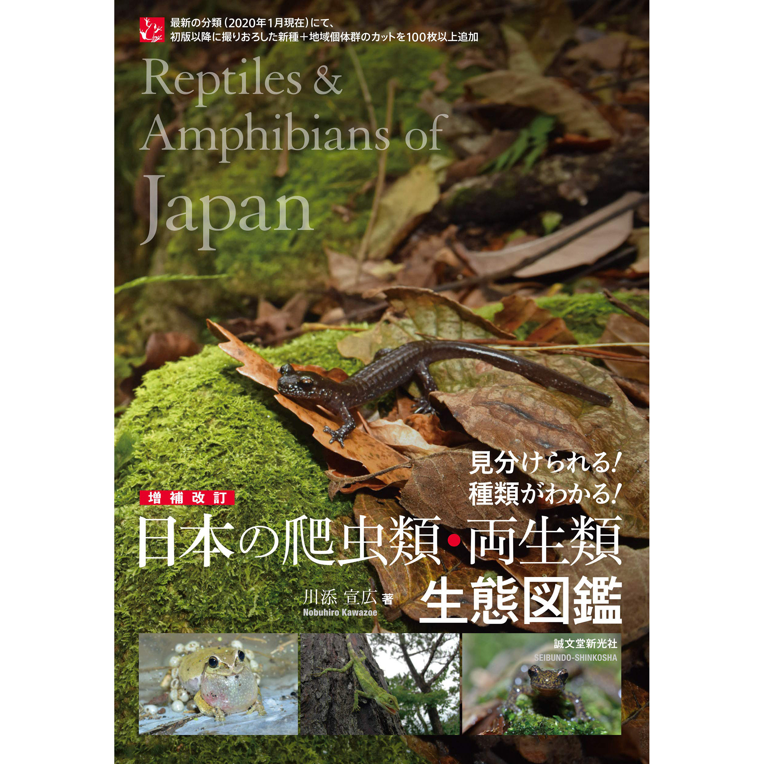 洋書　Reptiles & Amphibians 爬虫類、両生類 O1CN01N9zX4I23ytxl0kx6r_!!