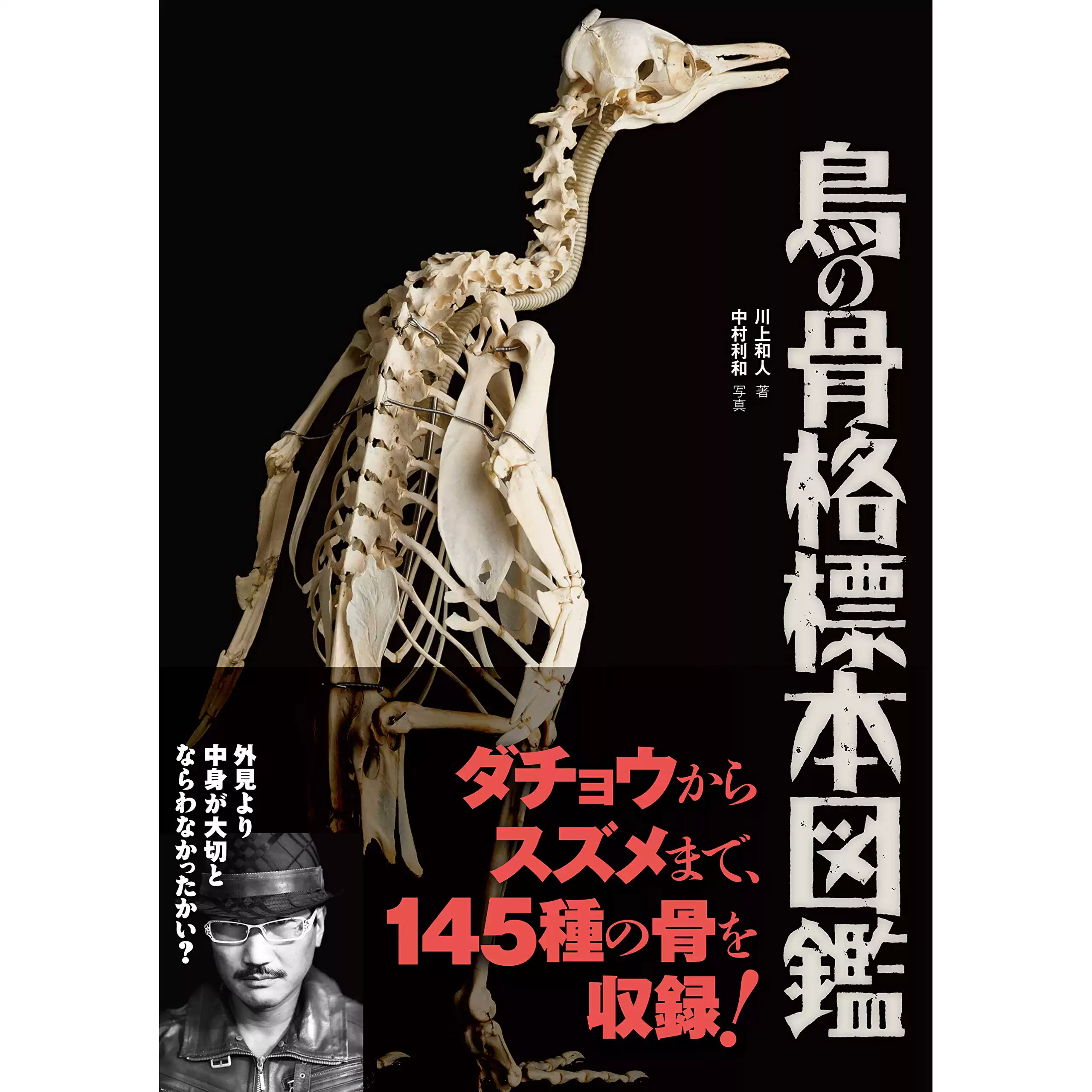鳥の骨格標本図鑑145种鸟类骨骼标本画册百科全书日本-淘宝Taobao | 天
