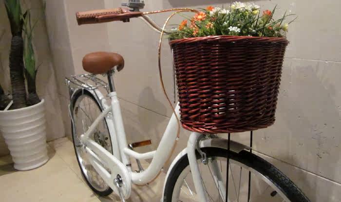 Panier pour vélo - Ref 2257922 Image 6