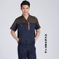 Тибетский синий с кофейным топом