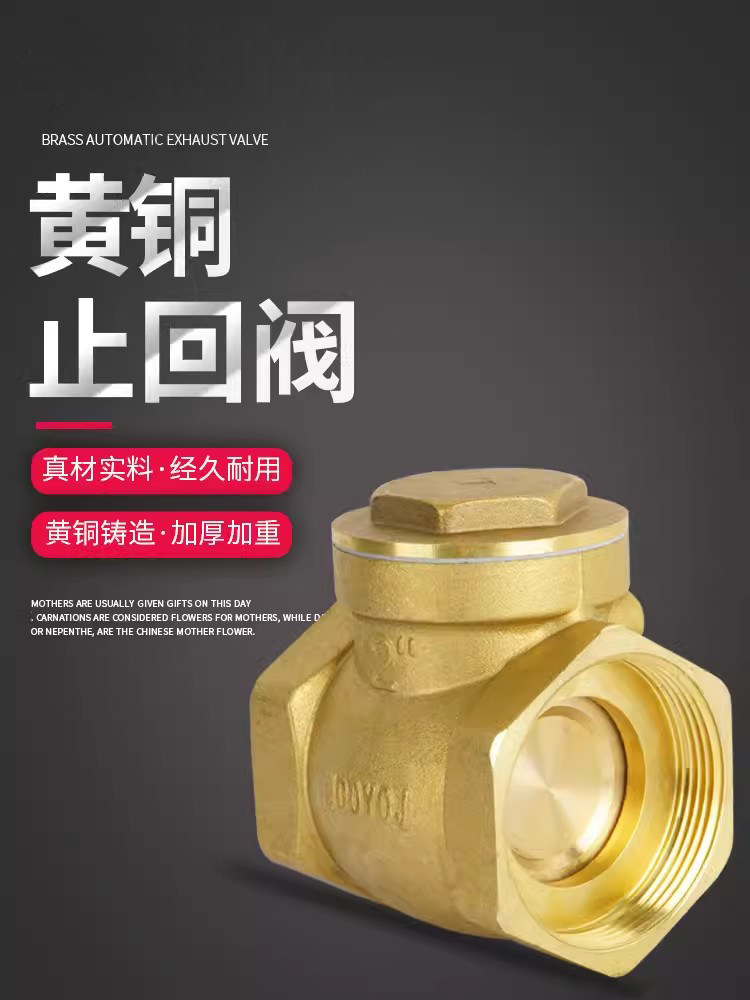 重型卧式止回阀4分1寸阀门管道逆止阀单向阀DN15/20/25/32/40/50