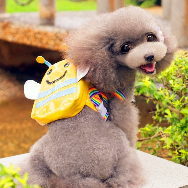 Special offer BEOW pet self backpack go out puppy backpack portable teddy bear dog school bag
