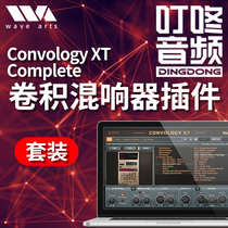 Wave Arts Convology XT retro effect convolution reverb set plug-in Ding Dong Audio