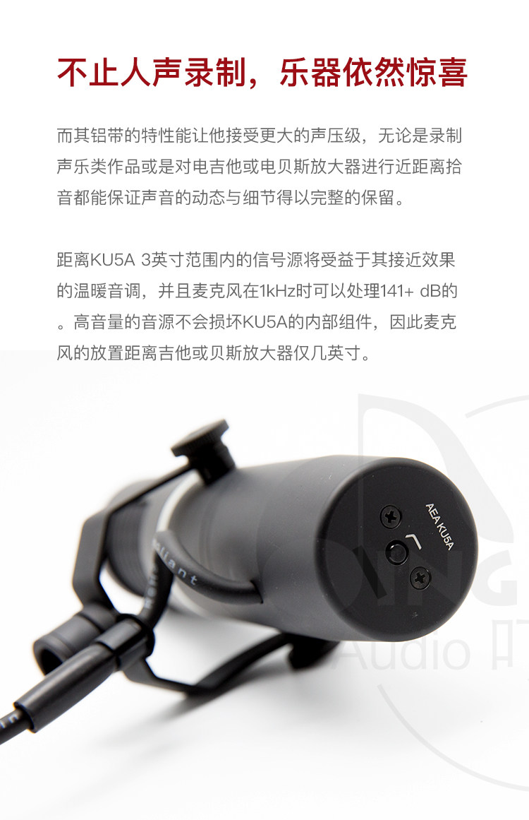 AEA KU5A插图4