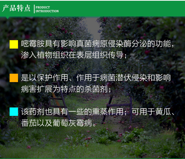 Shi jiale Deffice_03.jpg