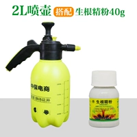 2L поливочный горшок+коучевый порошок 40 г