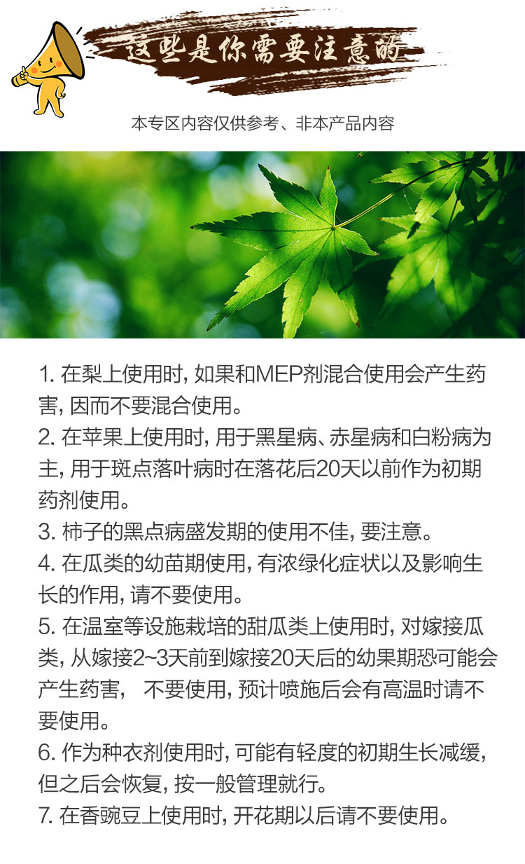 Du fu ling details_09.jpg