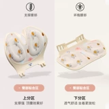 Стул кресла для млекопитающих