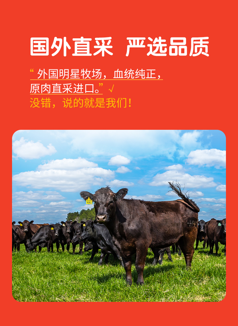 小牛凯西 澳洲进口 原切眼肉牛排套餐 100g*10片 图12