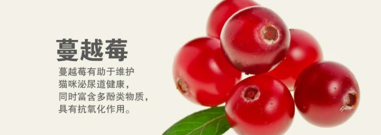 Thức ăn cho mèo nghịch ngợm Mèo nhỏ thành mèo 3 kg 1,5kg không có hạt thức ăn cho mèo trưởng thành nhạy cảm - Cat Staples Hạt Cateye cho mèo có tốt không