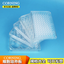 Corning costar cell culture plate bacterial culture plate 6 12 24 48 96 well cell plate Sterilization Packaging