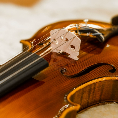 Учитель Кристина, Италия строго отобрана e05c xiaoqin