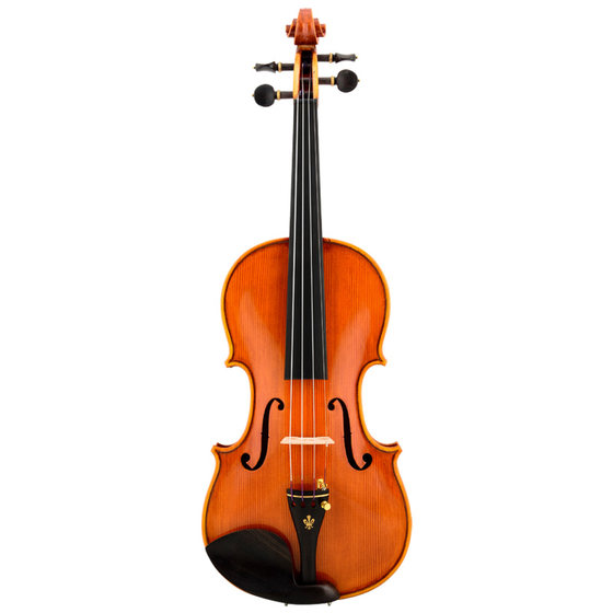 성인과 어린이를 위한 크리스티나 V06A 바이올린 전문 등급 시험, 초보자 바이올린 매뉴얼 연주 등급