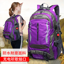 Travel bag Female travel backpack large capacity backpack Outdoor sports and leisure travel backpack Male lightweight mountaineering bag