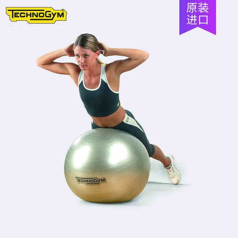 Technogym original imported Italian Technogym WELLNESS BALL Yoga BALL 55cm 65cm