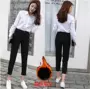 Mùa thu đông cộng với nhung dày chuyên nghiệp phù hợp với quần âu quần dài thẳng quần chín điểm quần harem eo cao mặc quần rộng quần ống suông nữ